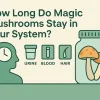 How Long Do Magic Mushrooms Stay in Your System Thumbnail