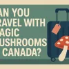 Can You Travel with Psilocybin in Canada?