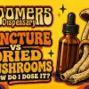 How do i dose mushrooms vs tinctures