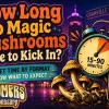 "How Long Does It Take for Magic Mushrooms to Kick In?" on the left side, with a clock and granville scenary on the right side